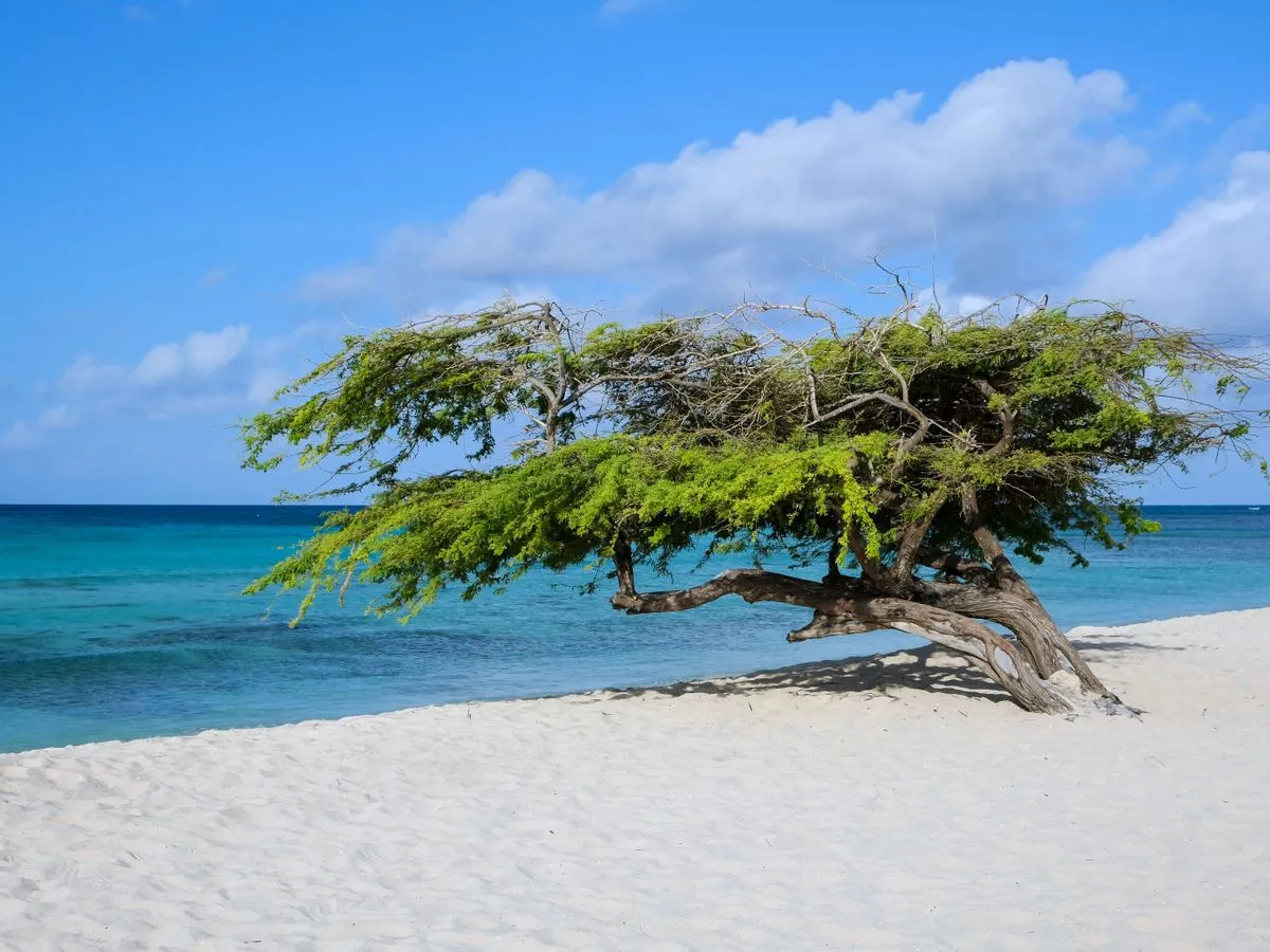 Aruba